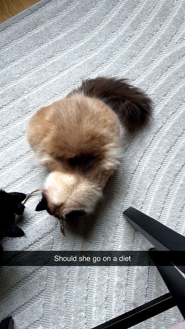 xxxtinacarmella image ~ Altpins