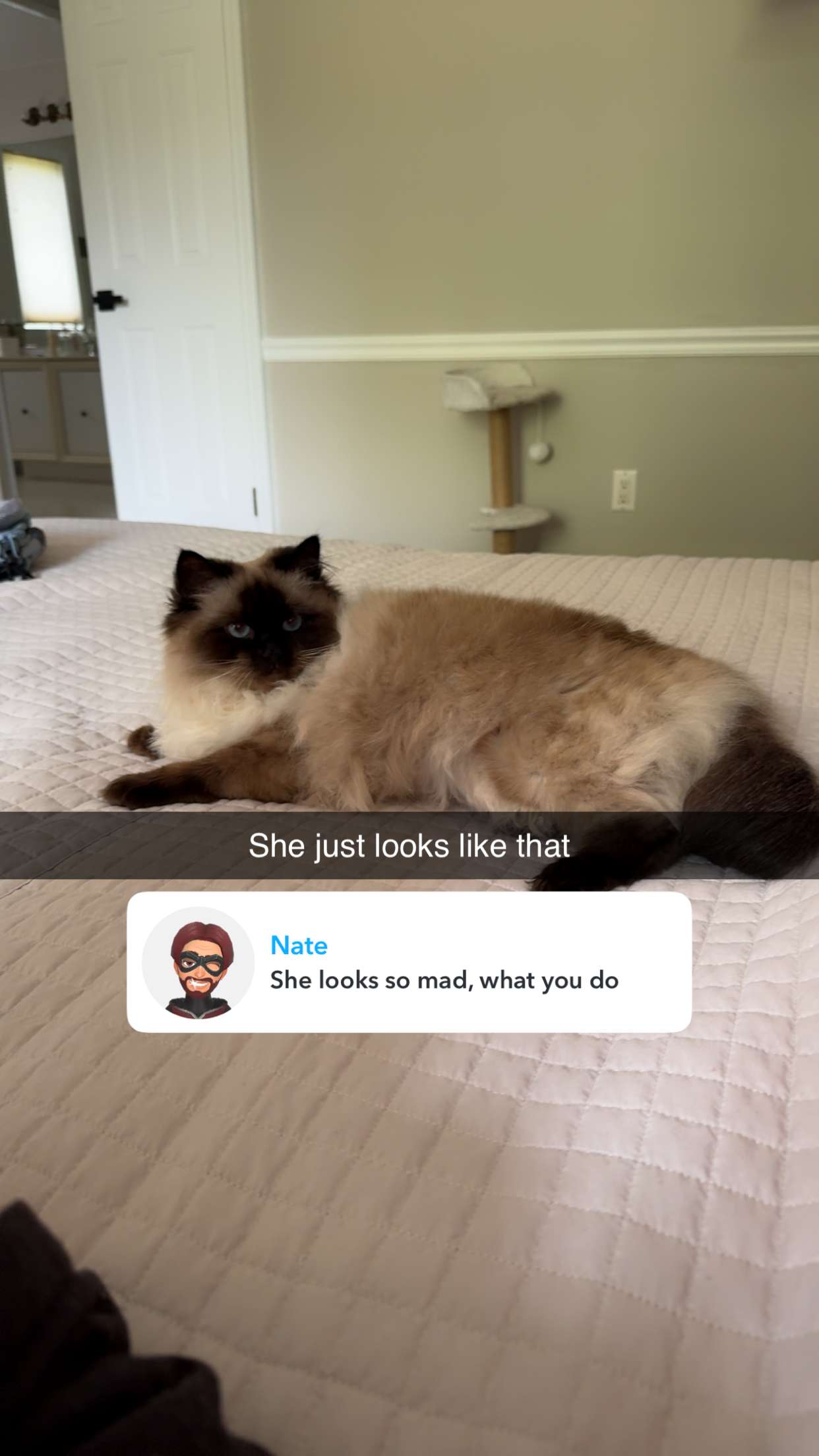 xxxtinacarmella snapchat image archive image