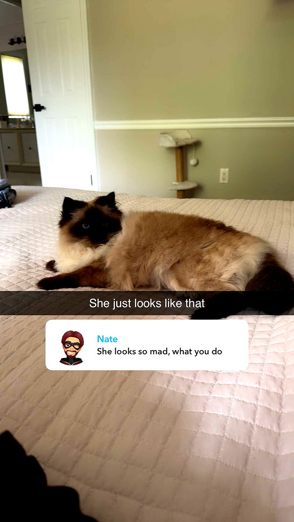 xxxtinacarmella image ~ Altpins