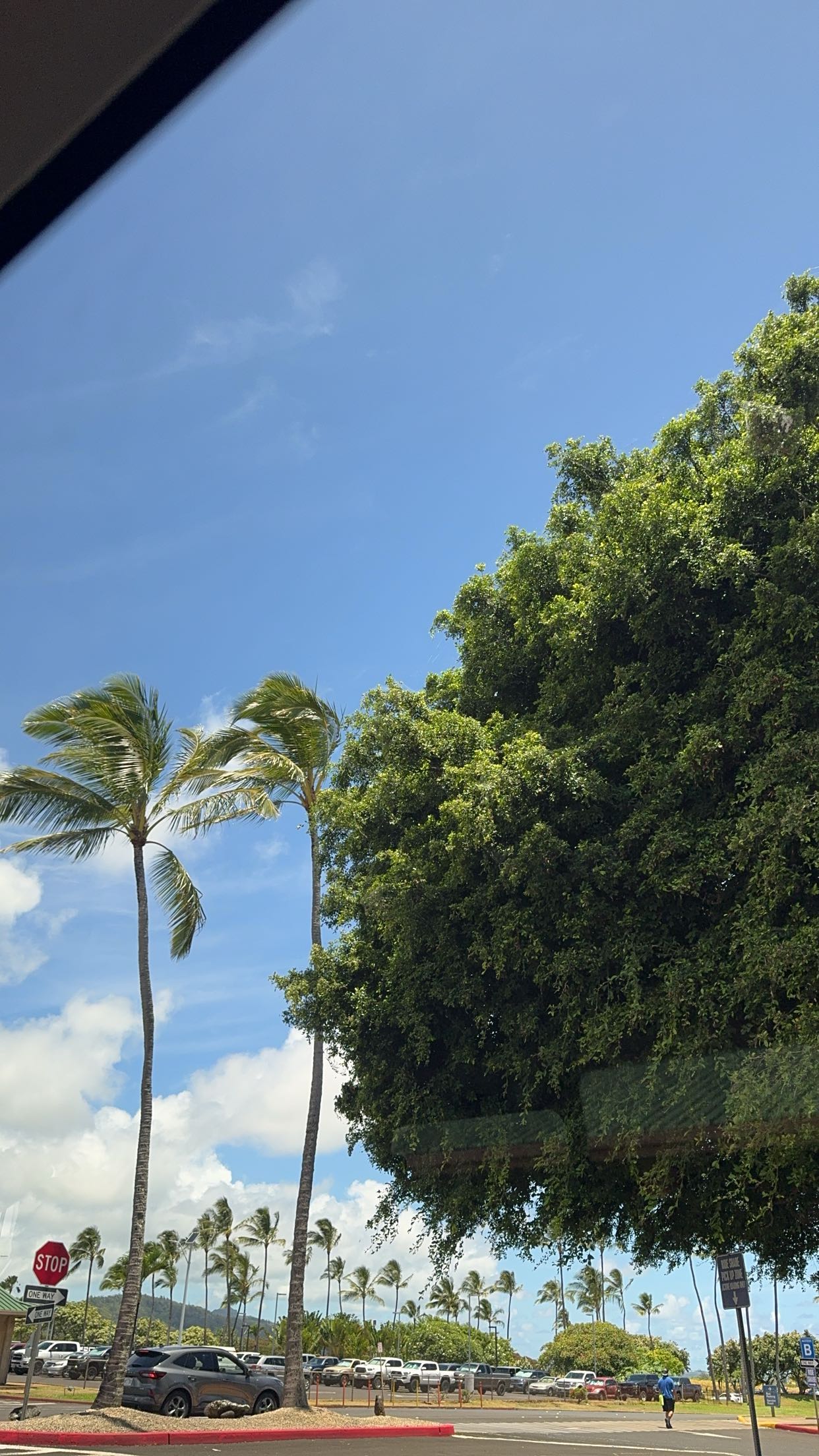 xxxtinacarmella snapchat image archive image