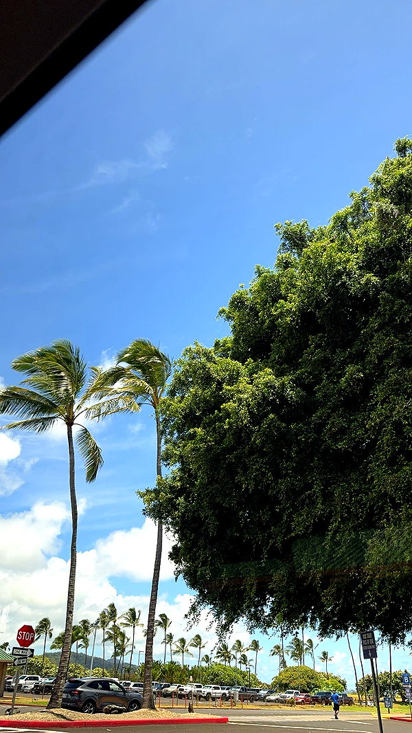 xxxtinacarmella image ~ Altpins