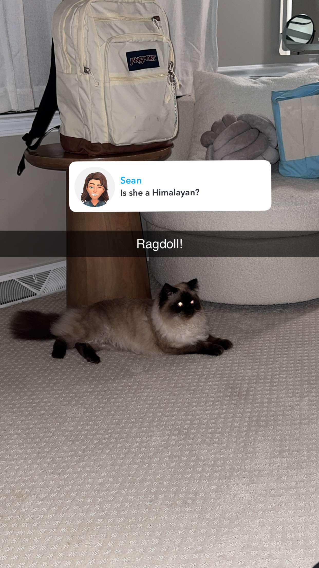 xxxtinacarmella snapchat image archive image