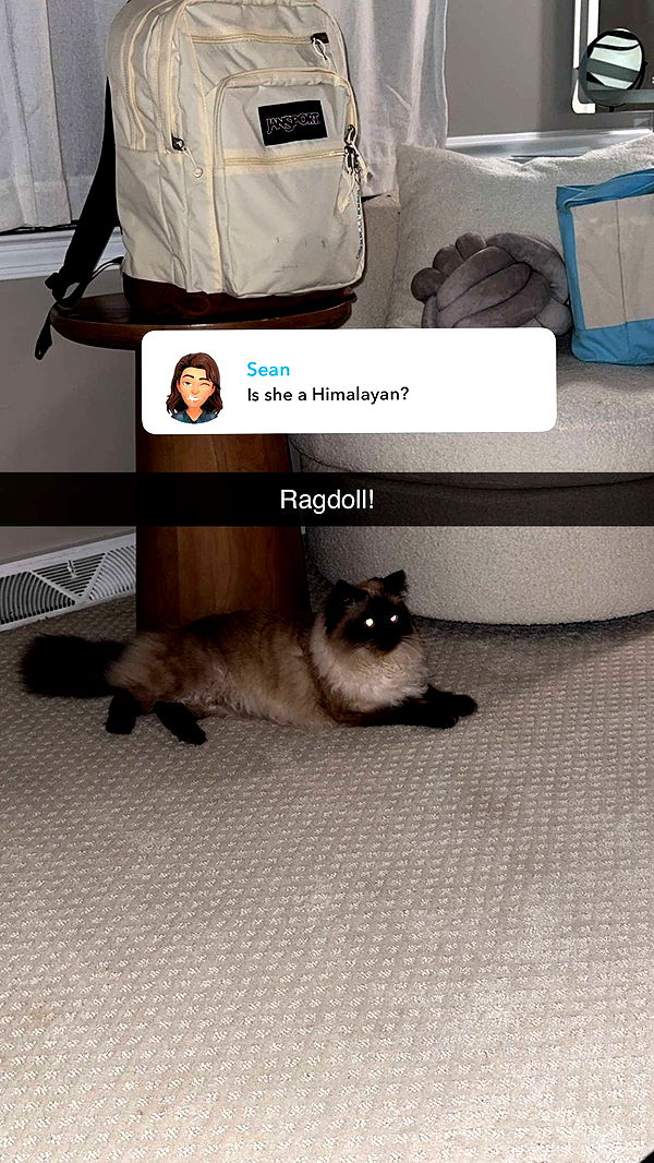 xxxtinacarmella image ~ Altpins