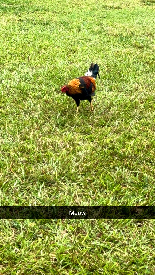 xxxtinacarmella image ~ Altpins