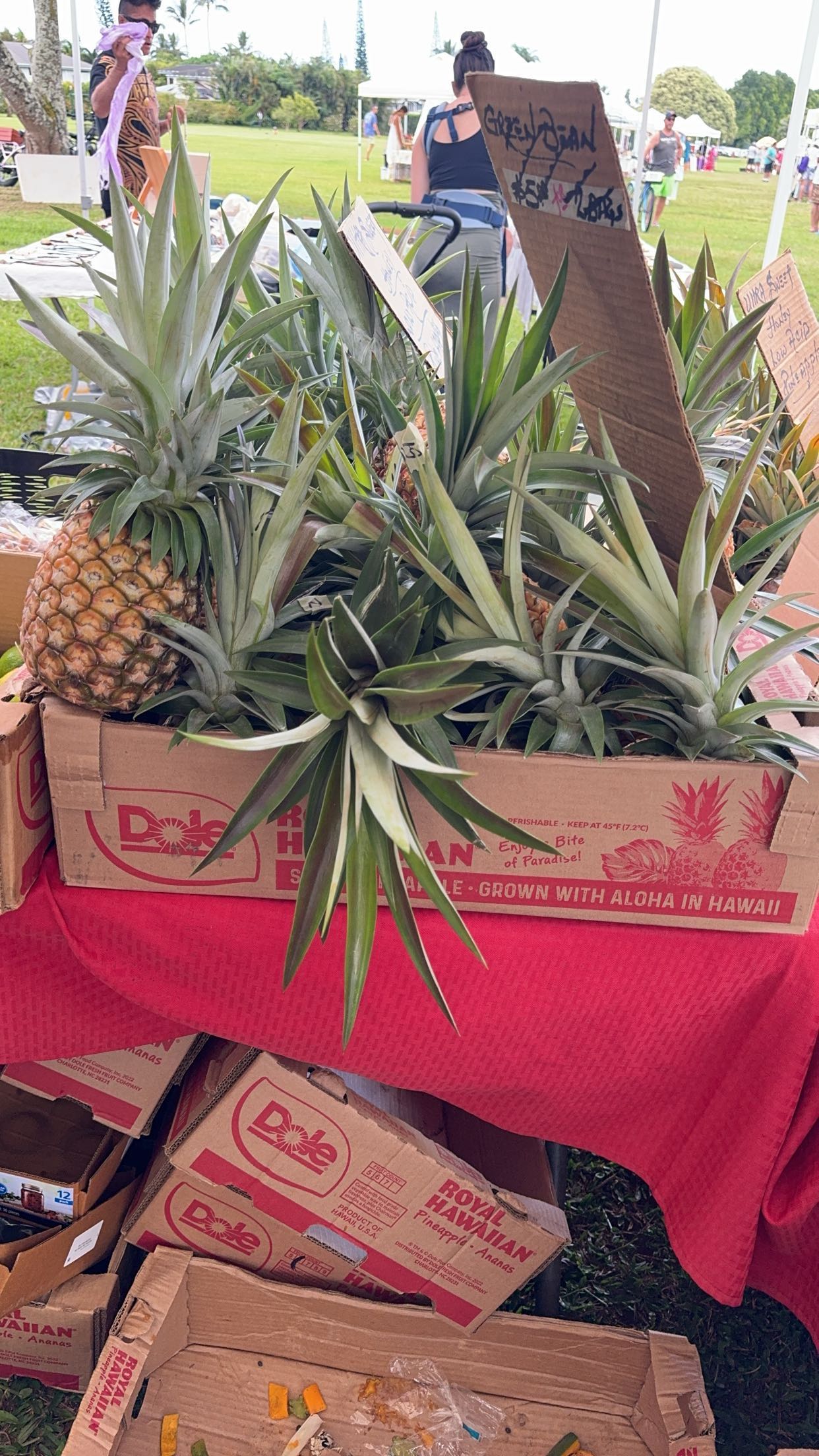 xxxtinacarmella snapchat image archive image