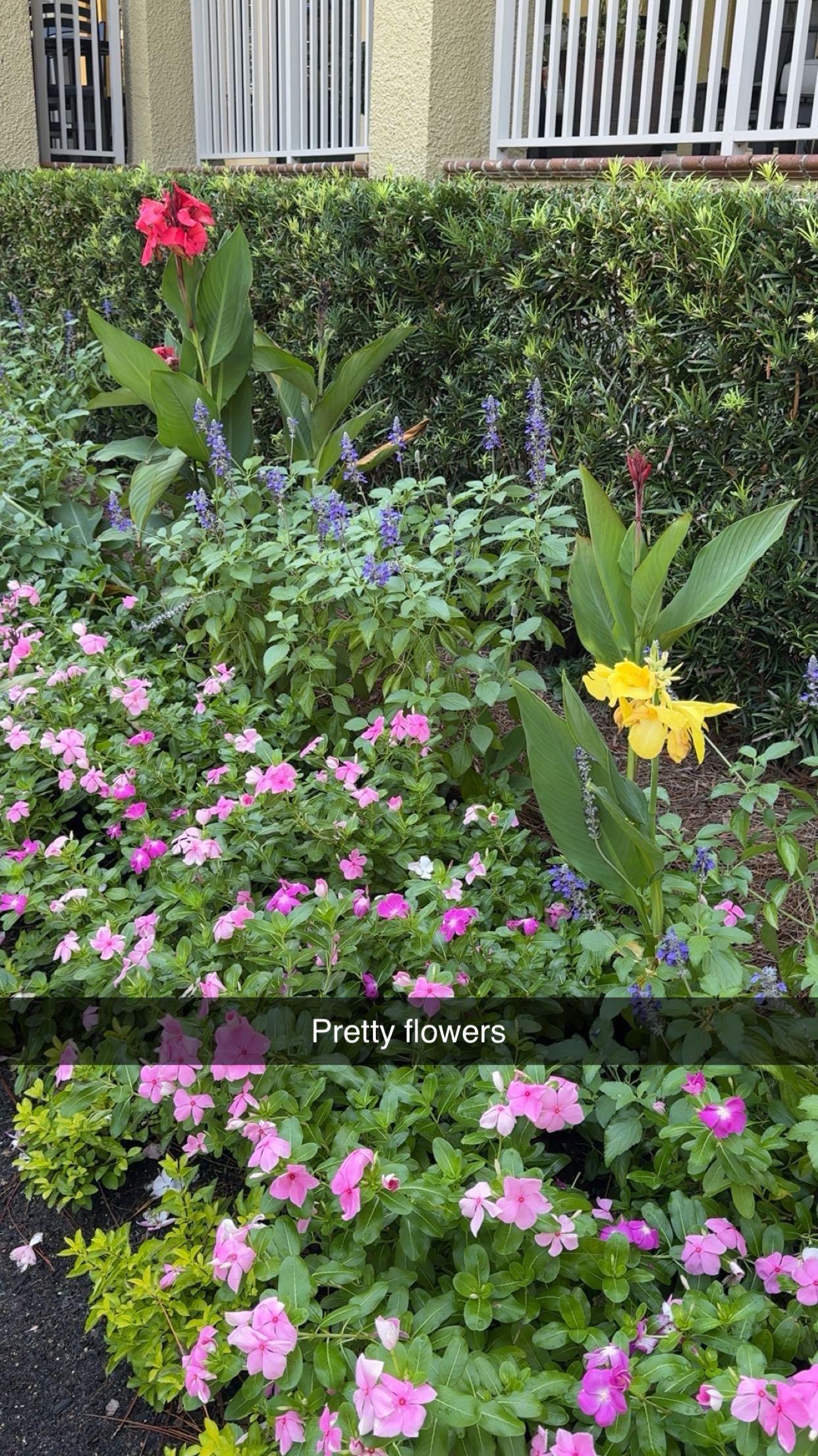 xxxtinacarmella snapchat image archive image