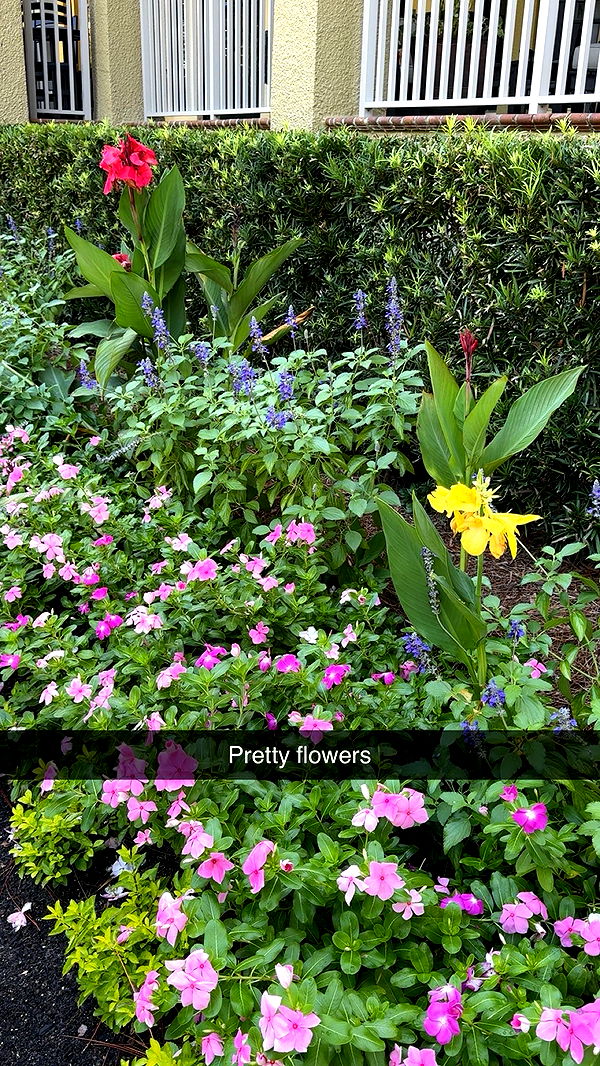 xxxtinacarmella image ~ Altpins