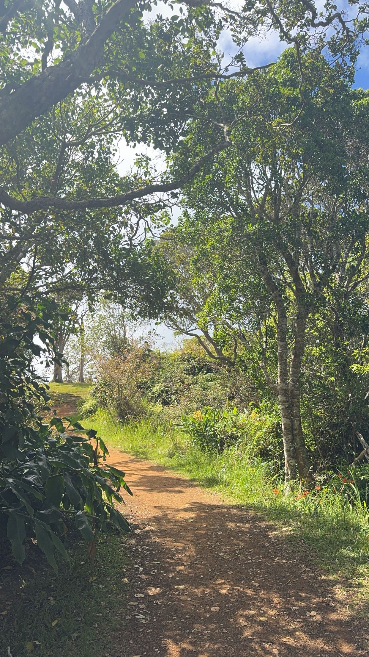 xxxtinacarmella snapchat image archive image