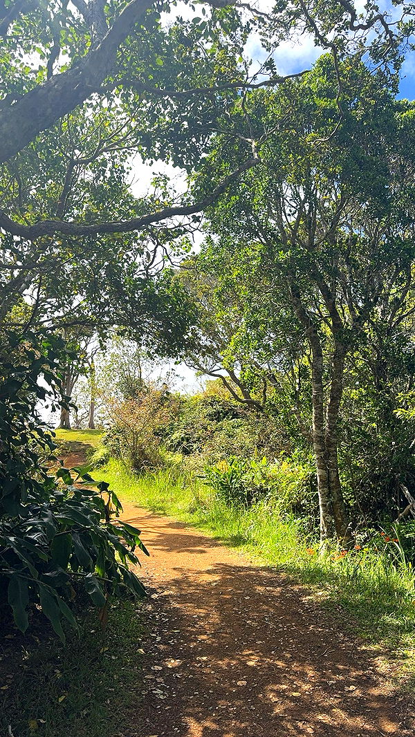 xxxtinacarmella image ~ Altpins