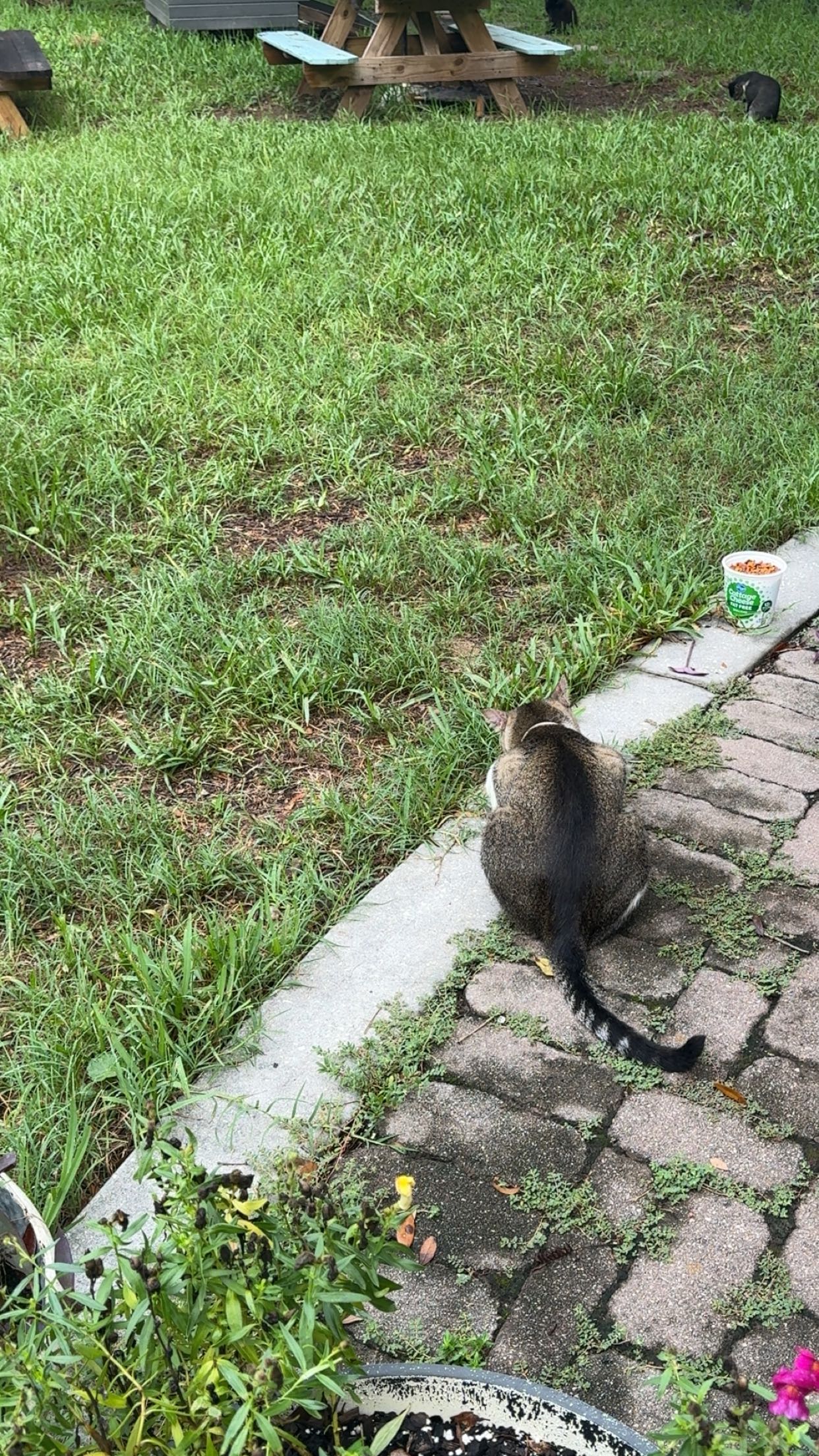 xxxtinacarmella snapchat image archive image