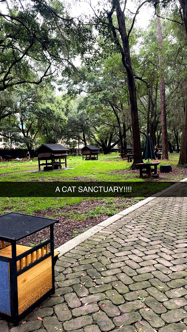 xxxtinacarmella image ~ Altpins