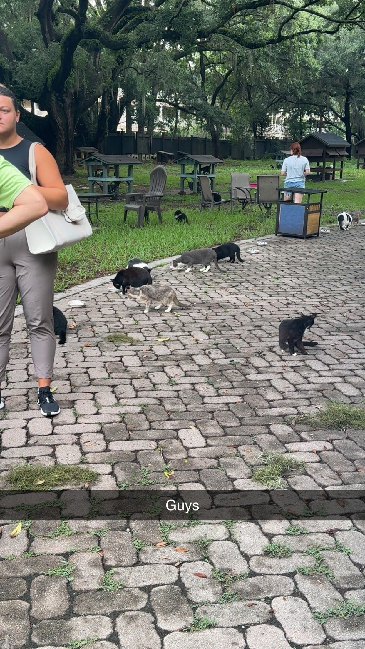 xxxtinacarmella snapchat image archive image