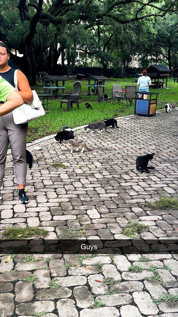 xxxtinacarmella image ~ Altpins