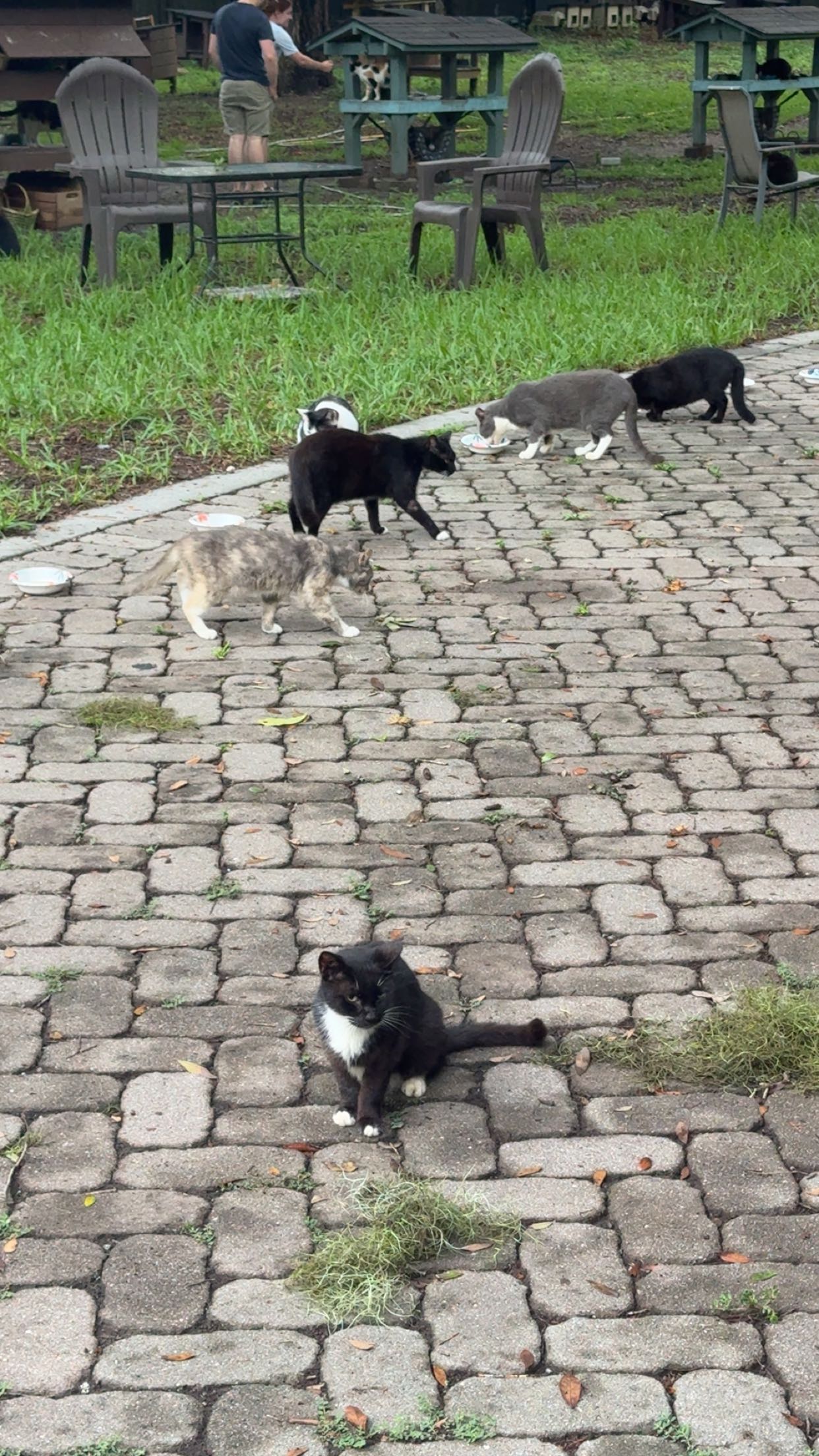 xxxtinacarmella snapchat image archive image