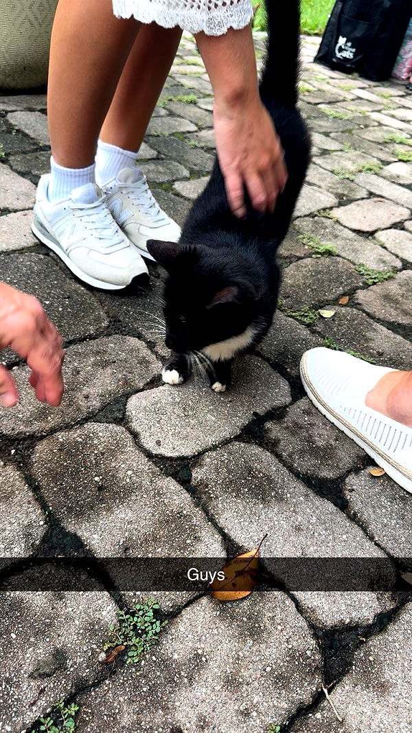 xxxtinacarmella image ~ Altpins