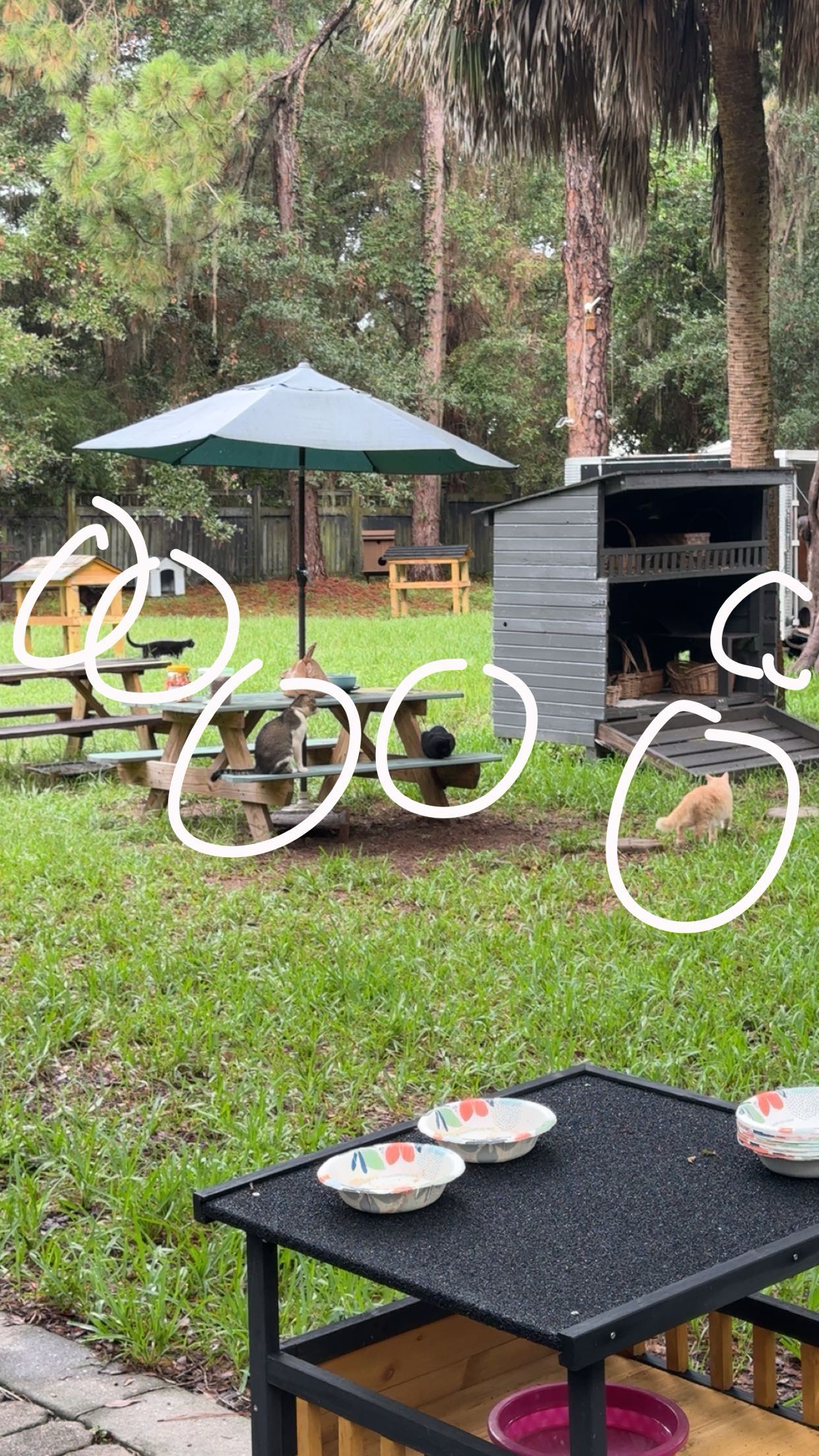 xxxtinacarmella snapchat image archive image