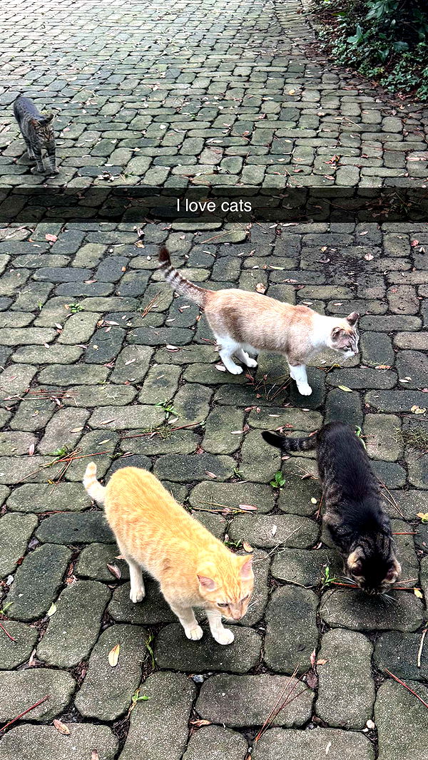 xxxtinacarmella image ~ Altpins