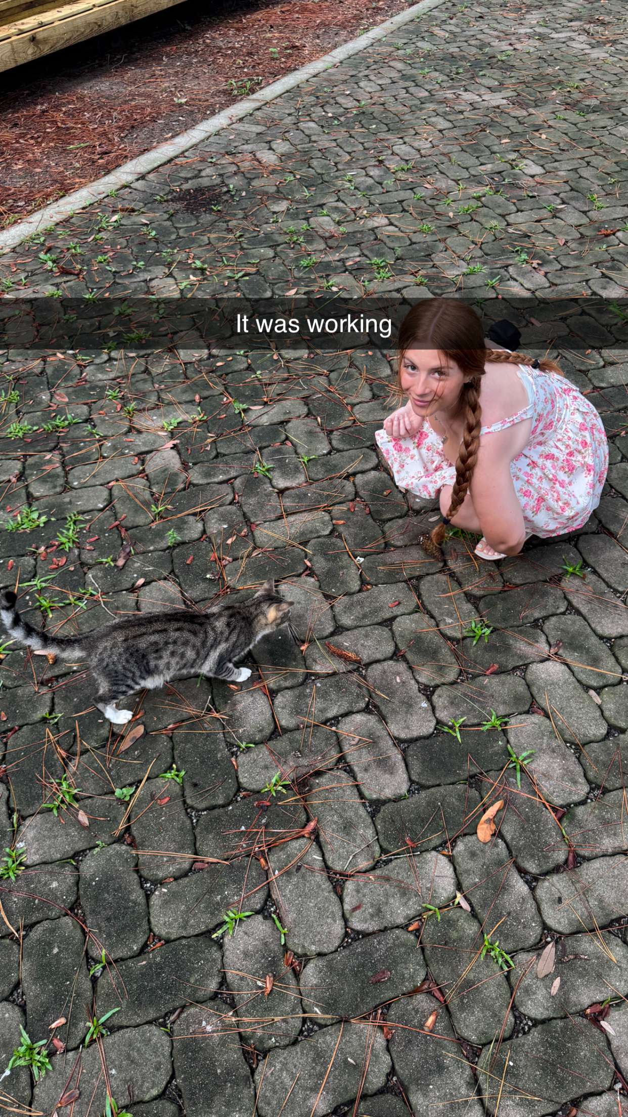 xxxtinacarmella snapchat image archive image