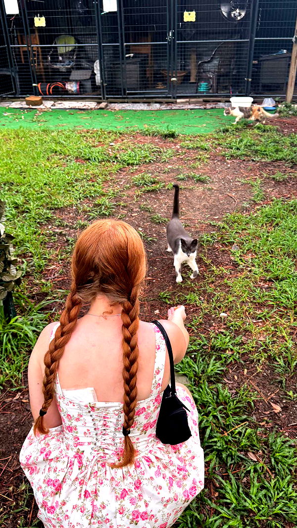 xxxtinacarmella image ~ Altpins