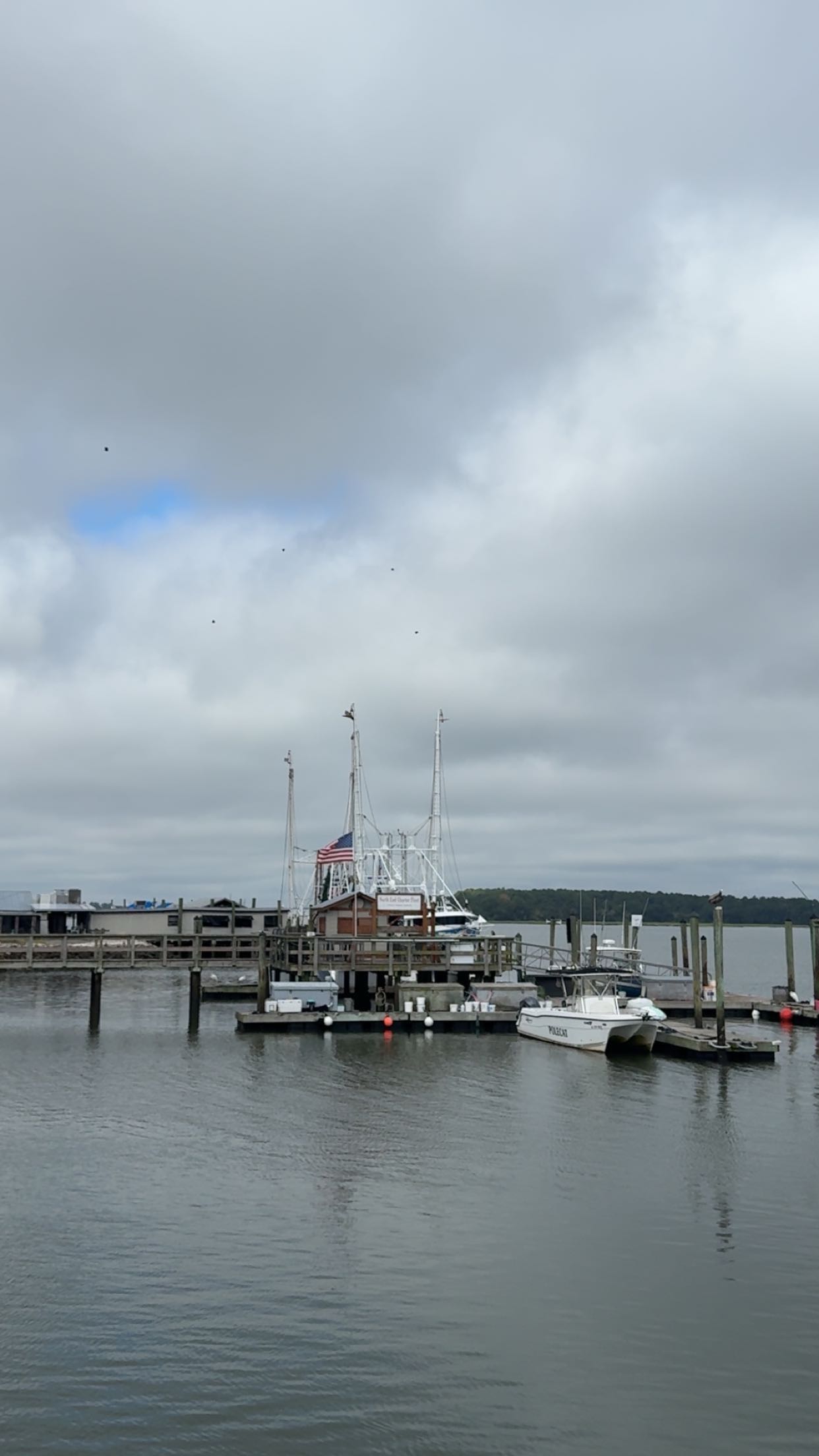 xxxtinacarmella snapchat image archive image