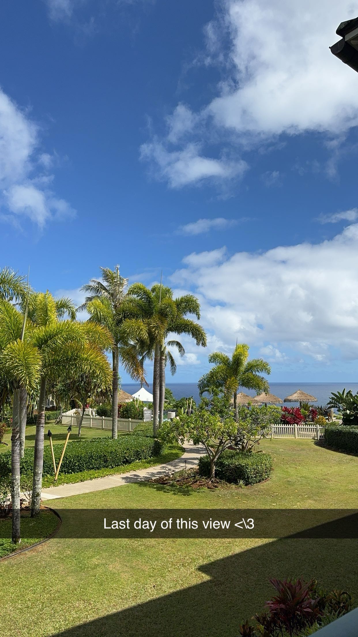 xxxtinacarmella snapchat image archive image