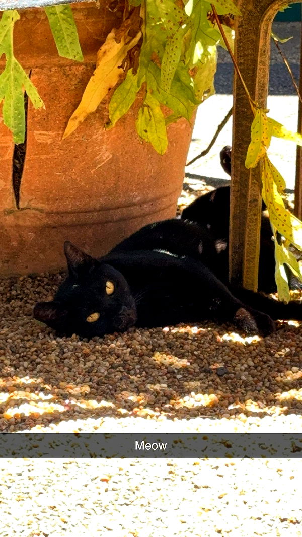 xxxtinacarmella image ~ Altpins