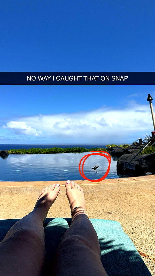 xxxtinacarmella image ~ Altpins