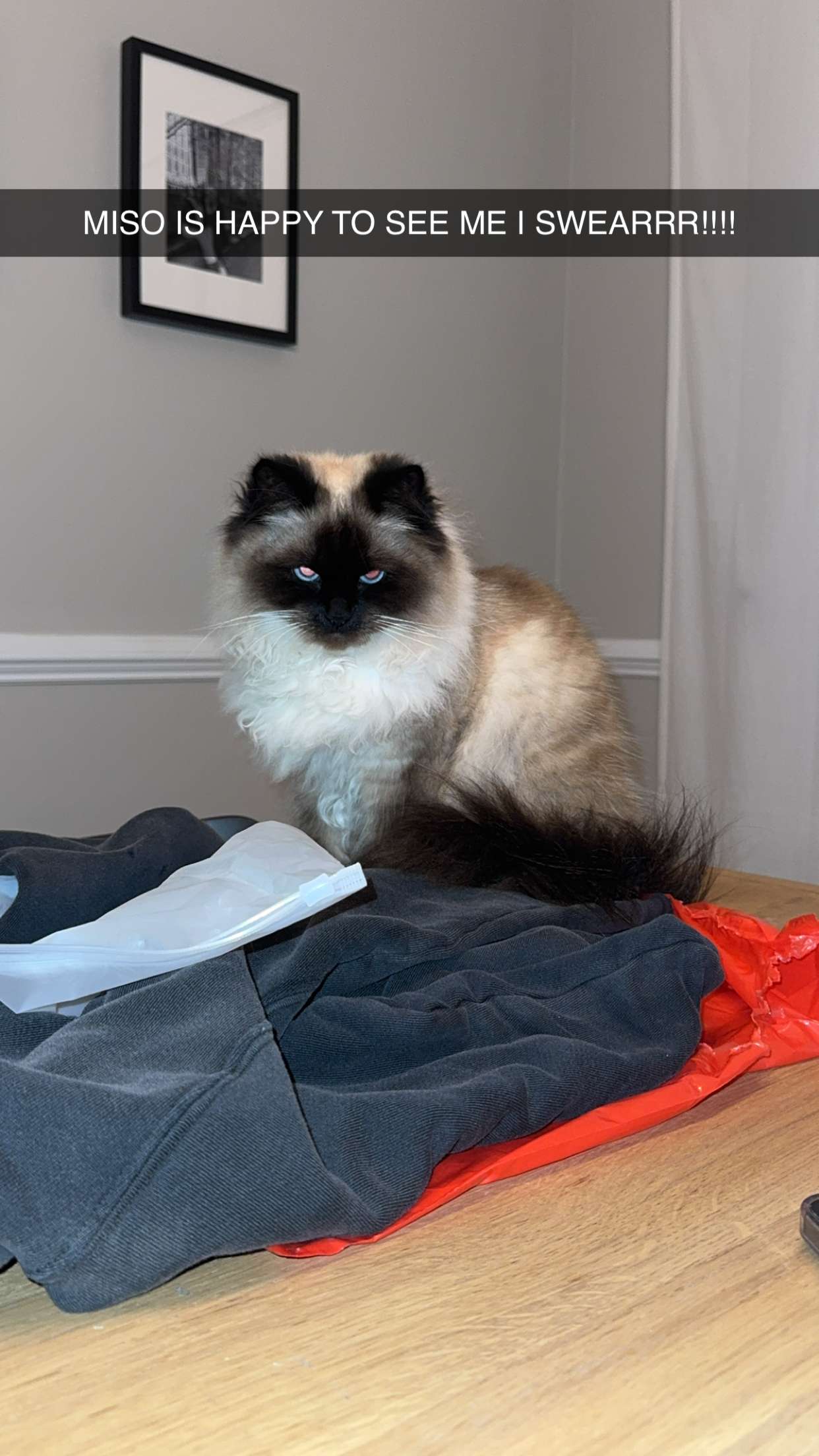 xxxtinacarmella snapchat image archive image