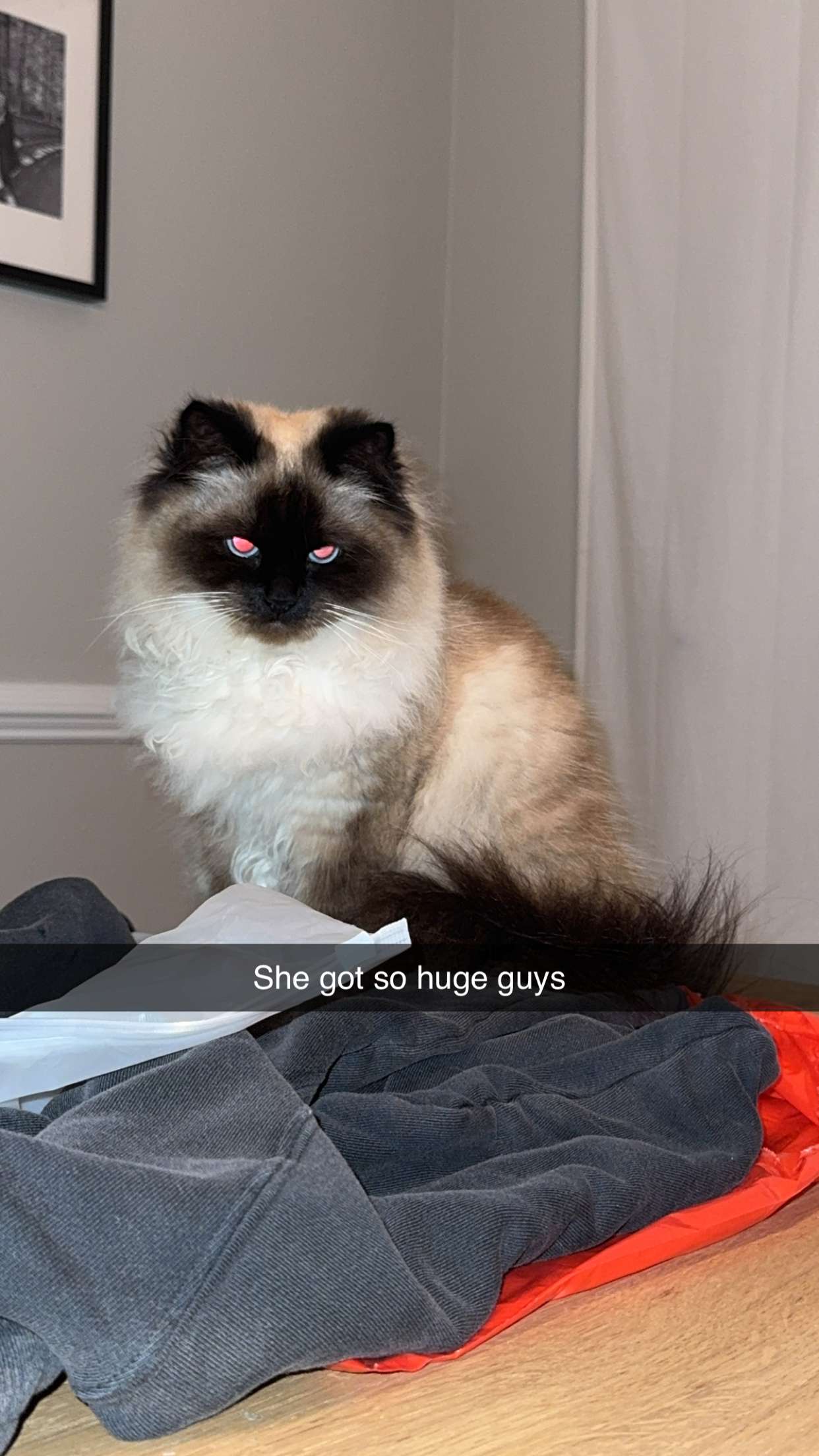 xxxtinacarmella snapchat image archive image