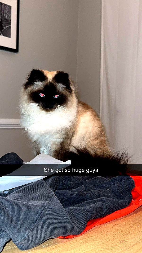 xxxtinacarmella image ~ Altpins