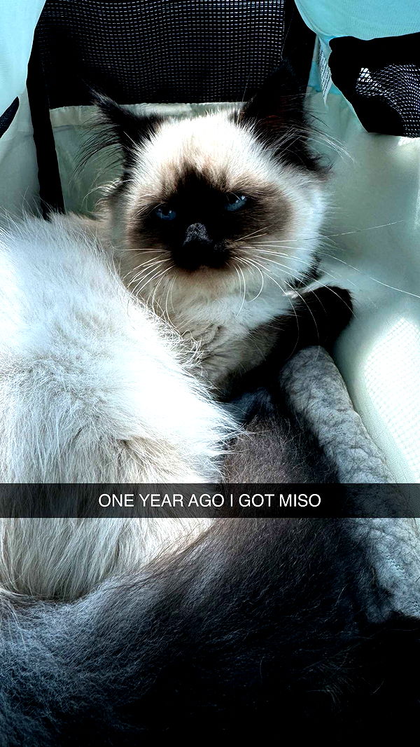 xxxtinacarmella image ~ Altpins