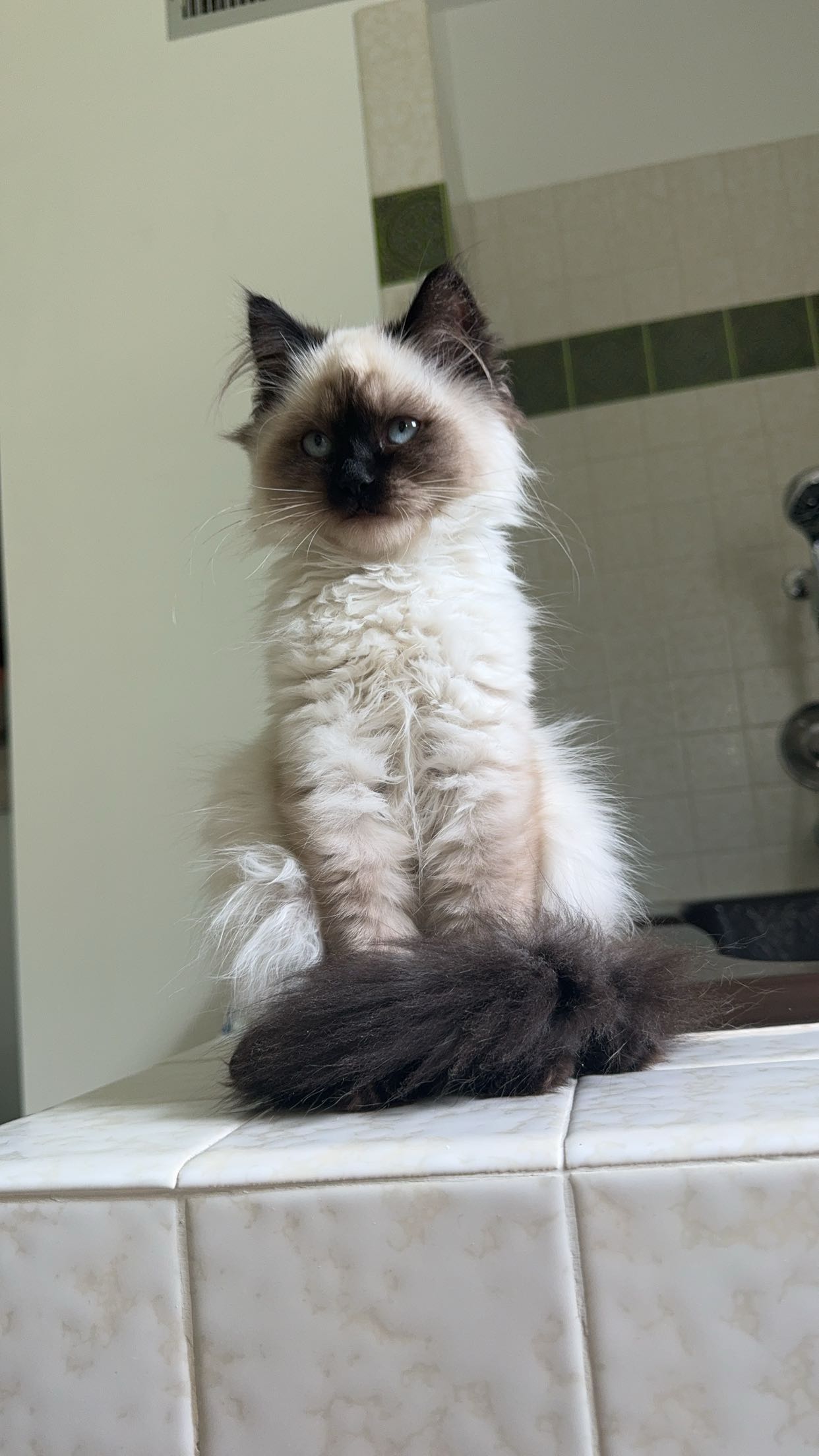 xxxtinacarmella snapchat image archive image