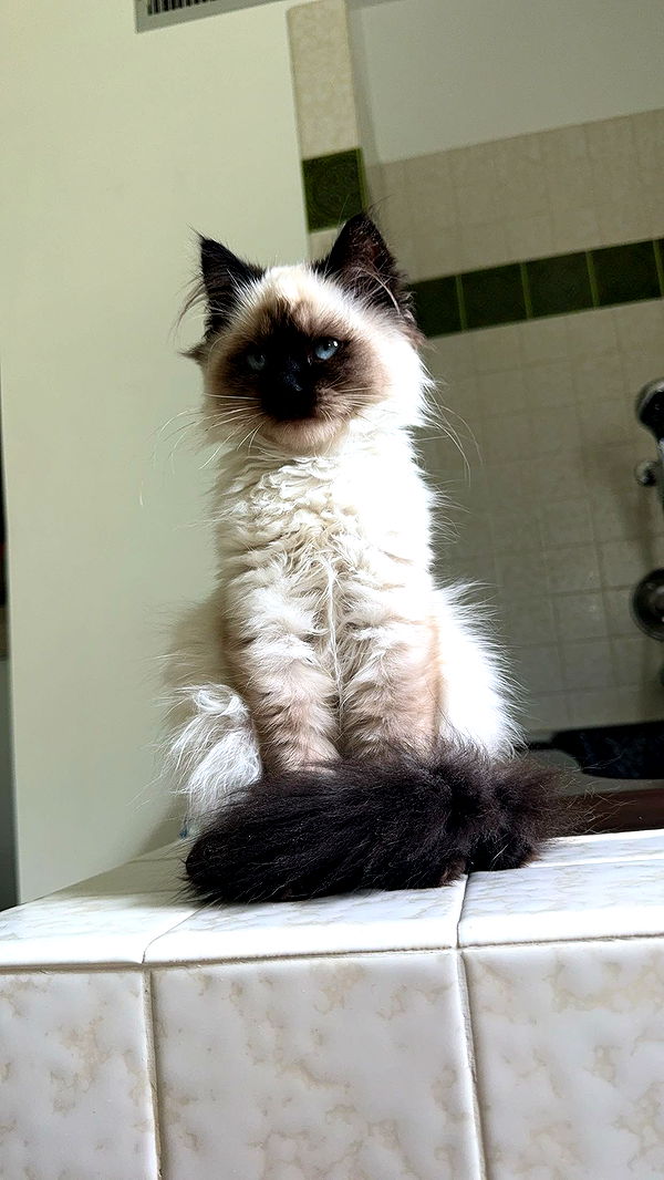 xxxtinacarmella image ~ Altpins