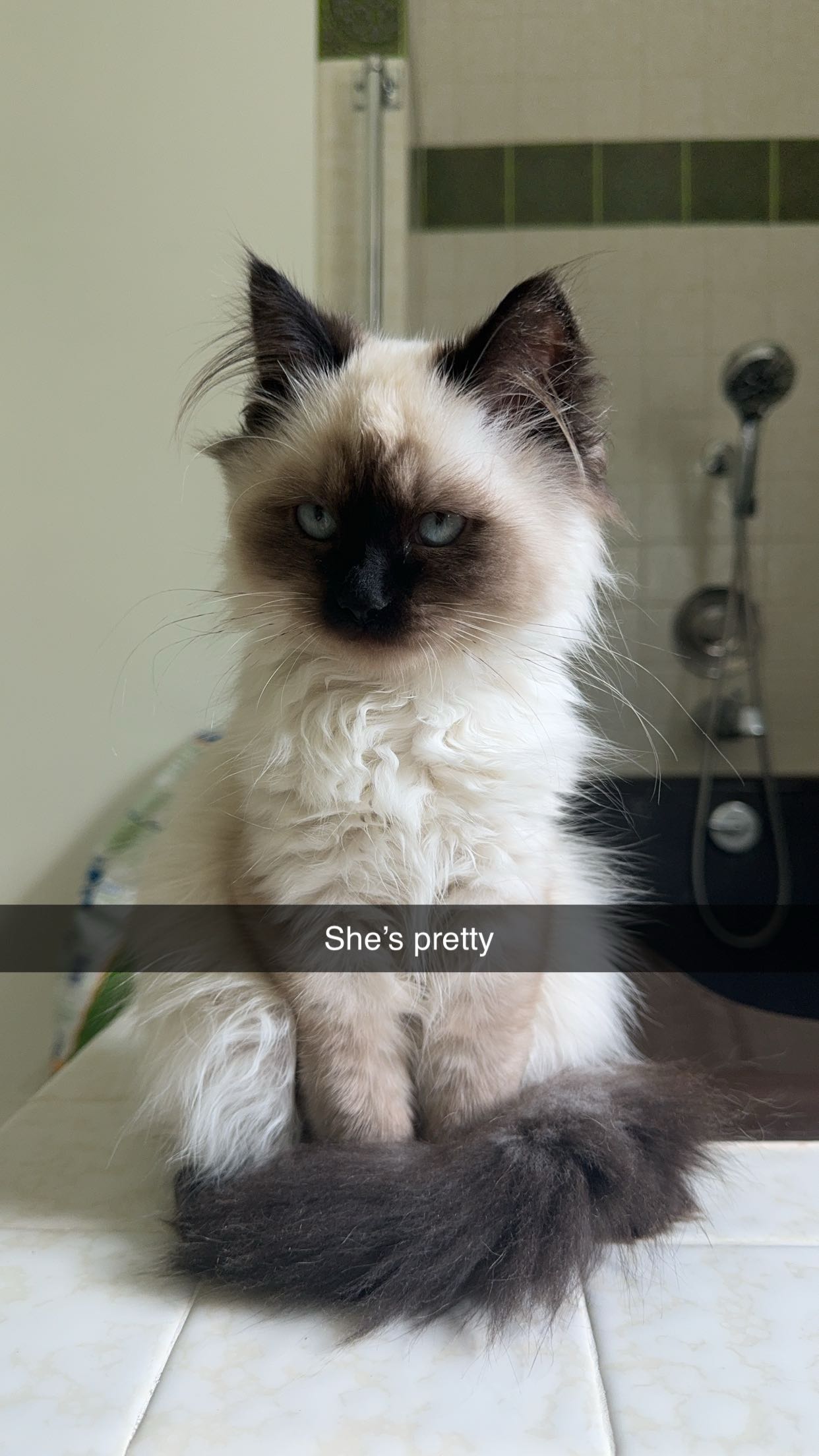 xxxtinacarmella snapchat image archive image