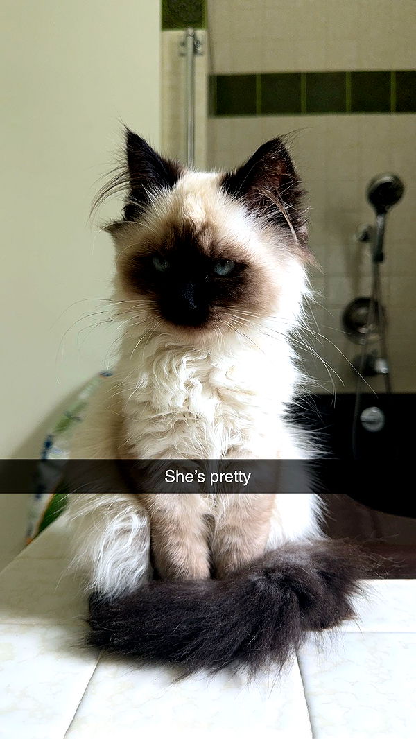 xxxtinacarmella image ~ Altpins