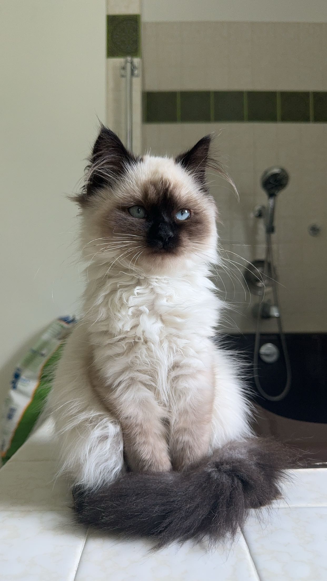 xxxtinacarmella snapchat image archive image