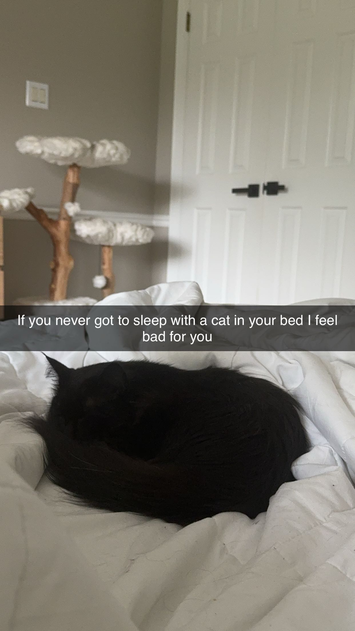 xxxtinacarmella snapchat image archive image