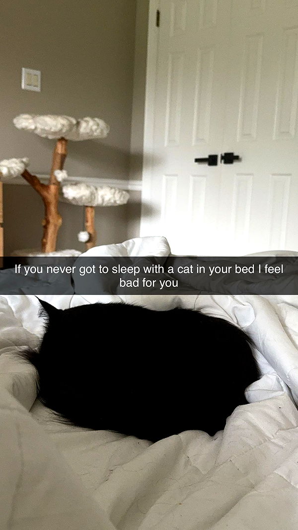 xxxtinacarmella image ~ Altpins