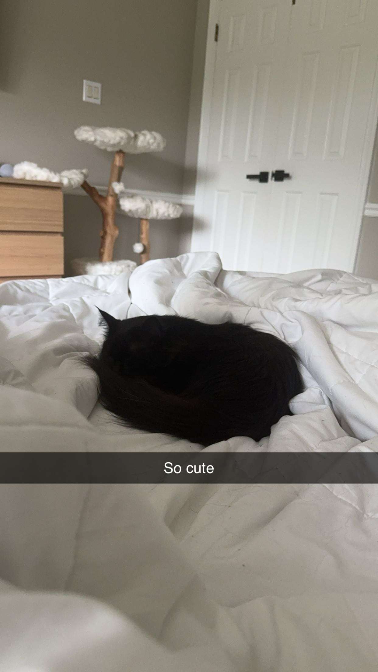 xxxtinacarmella snapchat image archive image