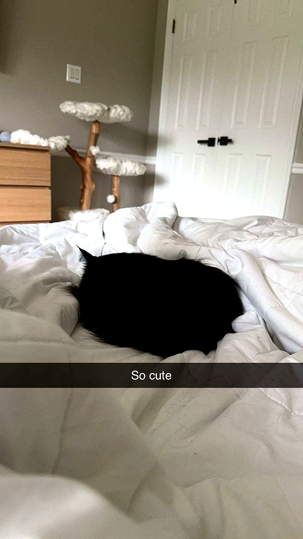 xxxtinacarmella image ~ Altpins