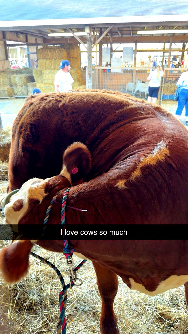 xxxtinacarmella image ~ Altpins