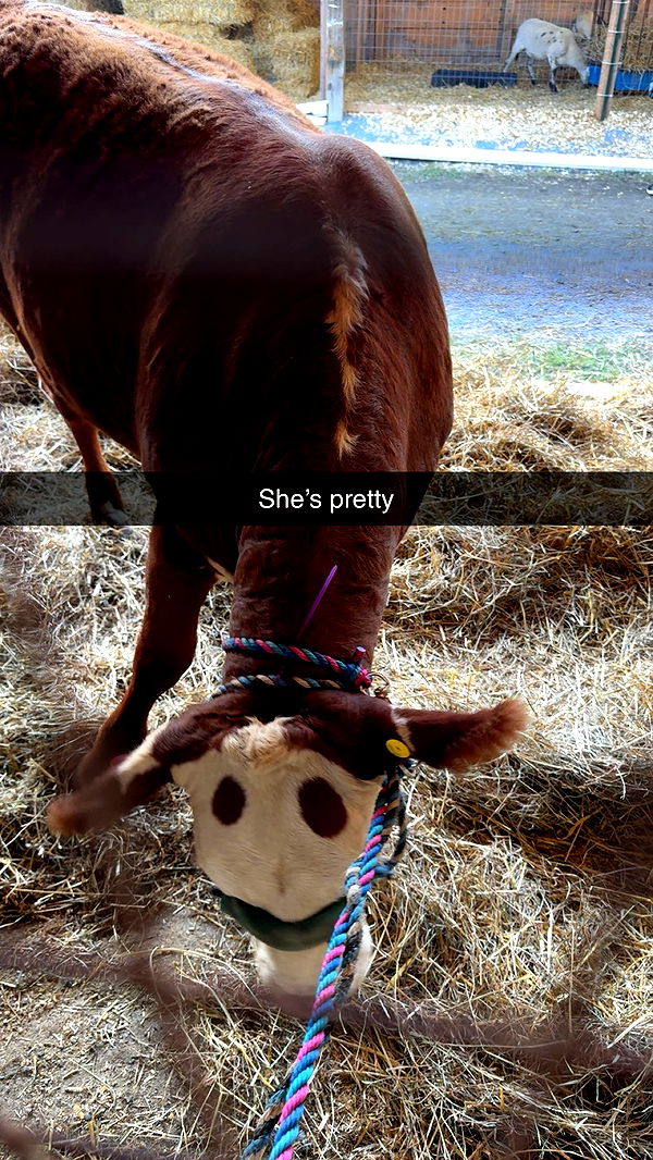 xxxtinacarmella image ~ Altpins