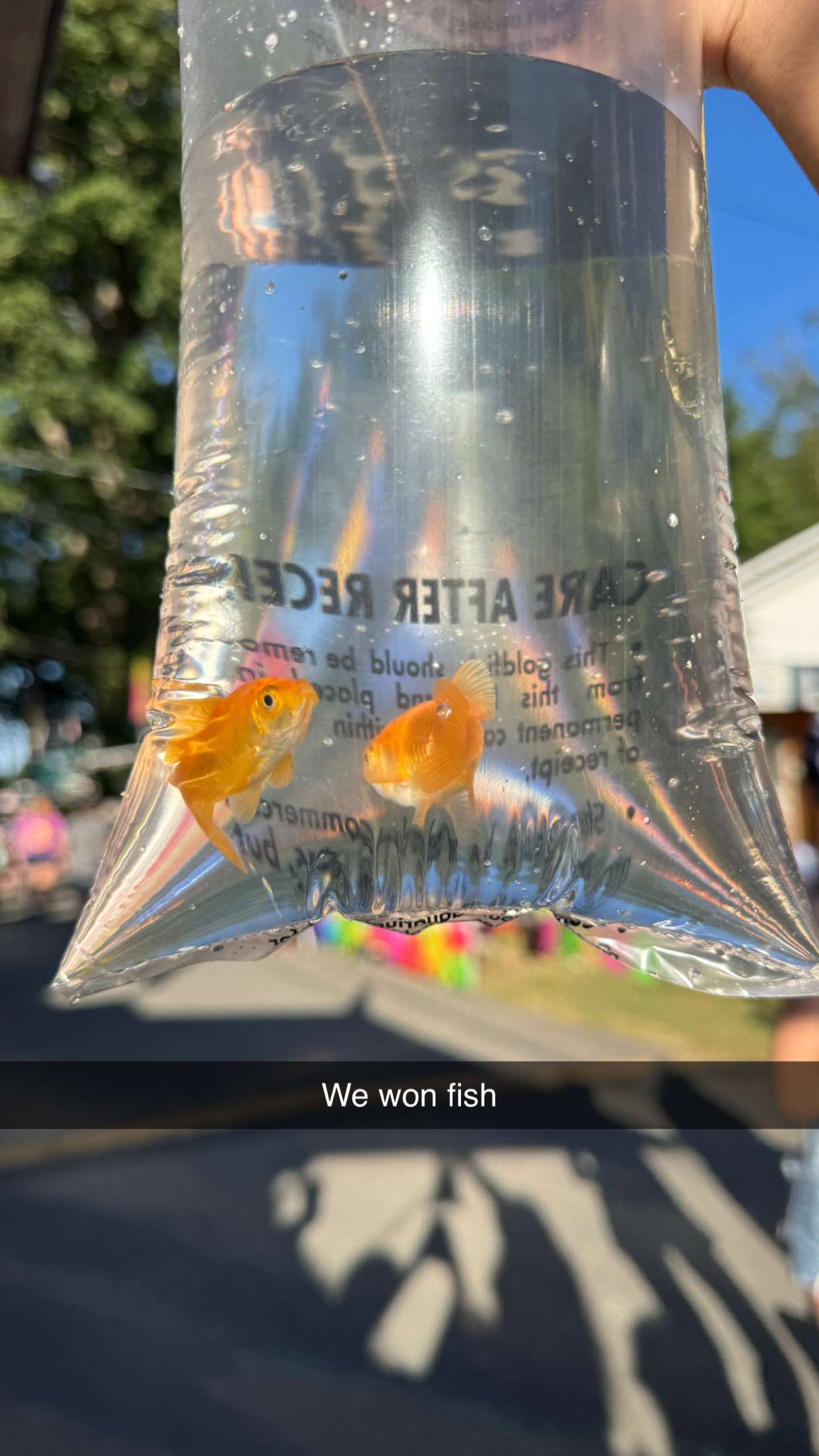 xxxtinacarmella snapchat image archive image