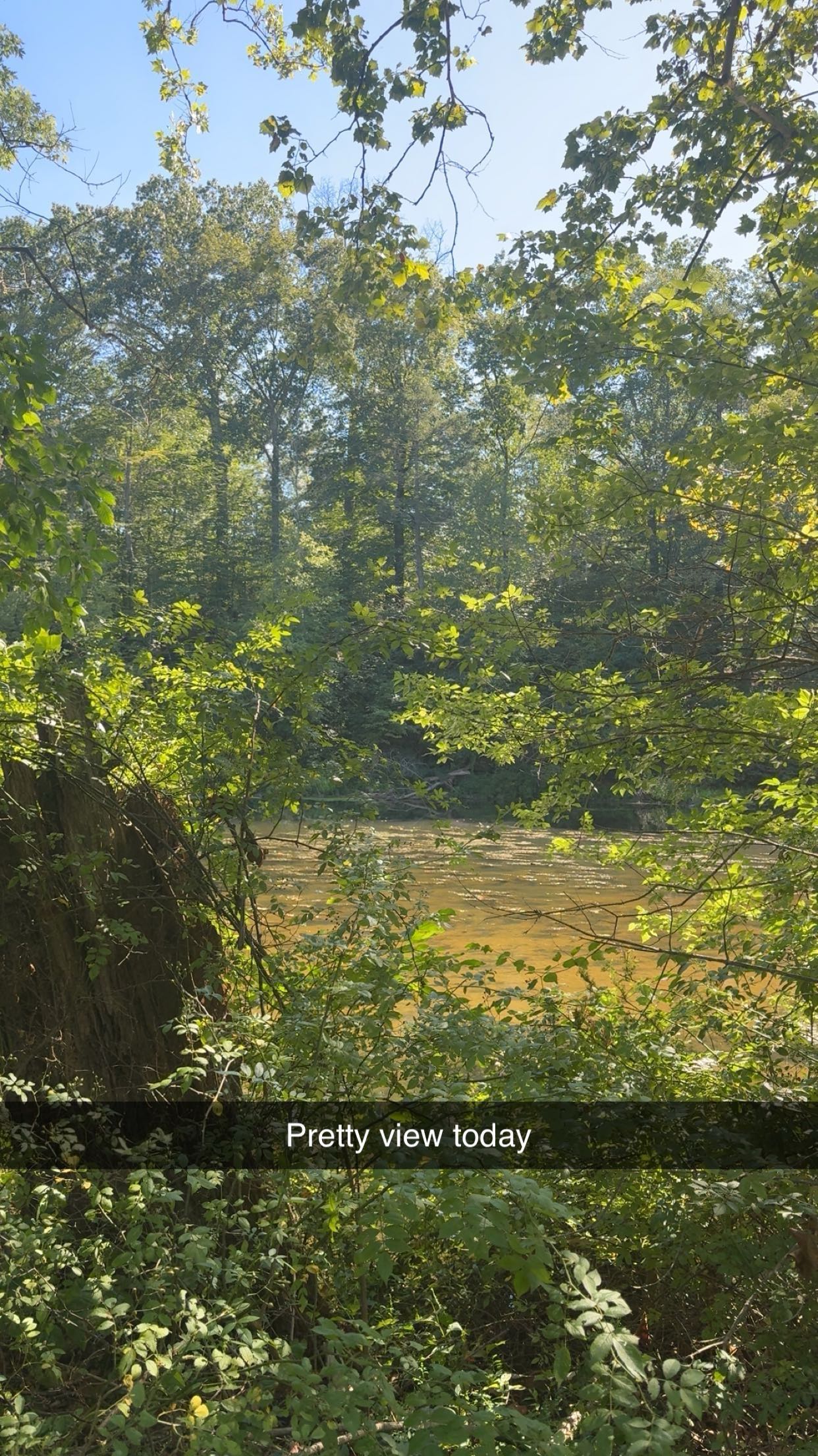 xxxtinacarmella snapchat image archive image