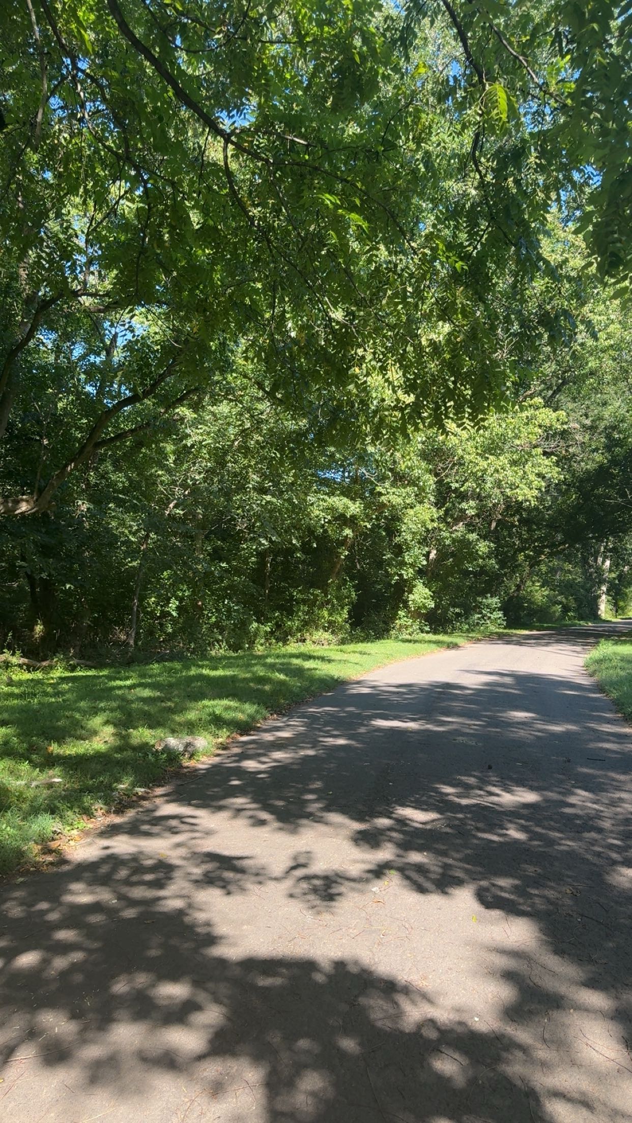 xxxtinacarmella snapchat image archive image