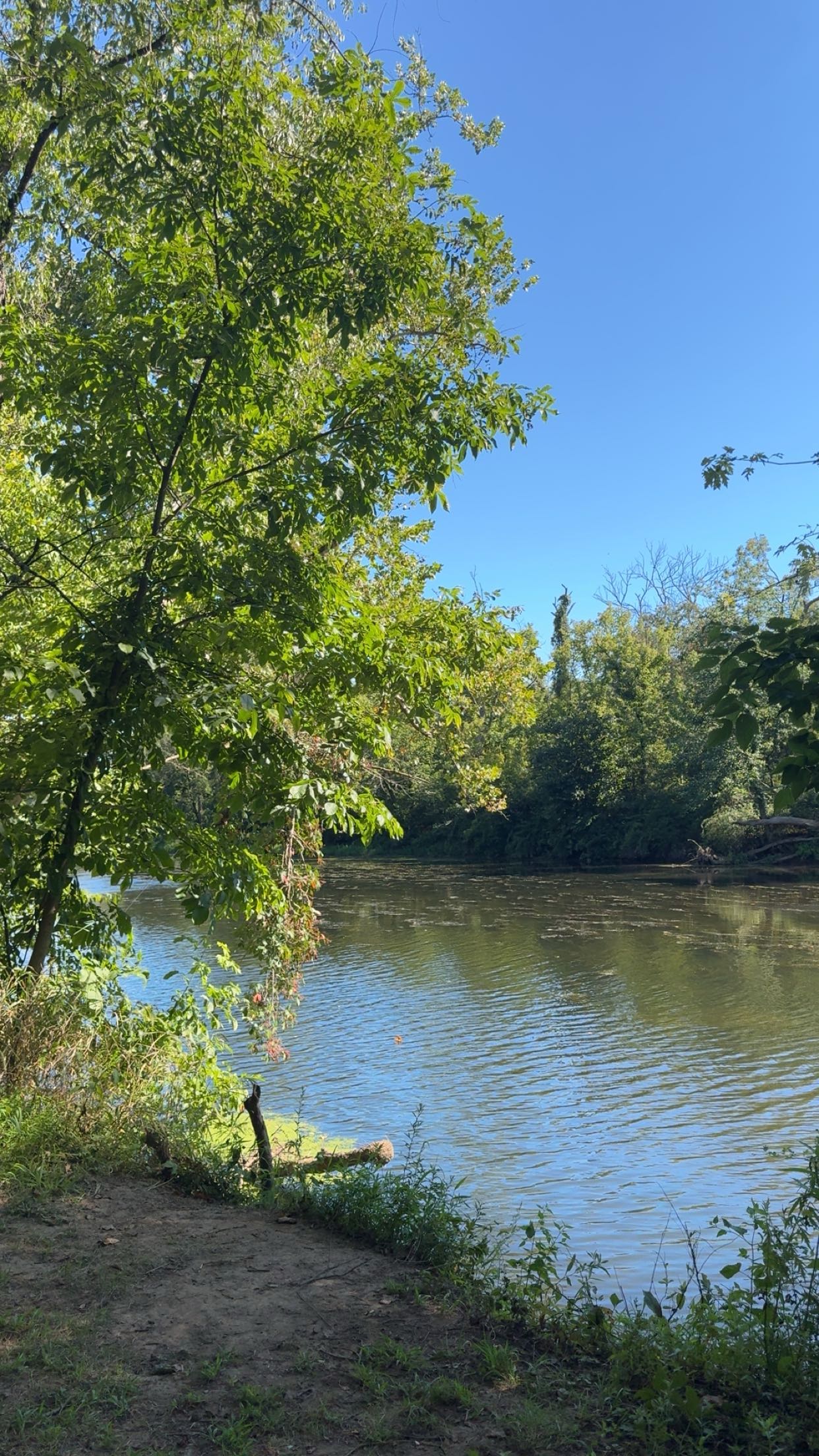 xxxtinacarmella snapchat image archive image