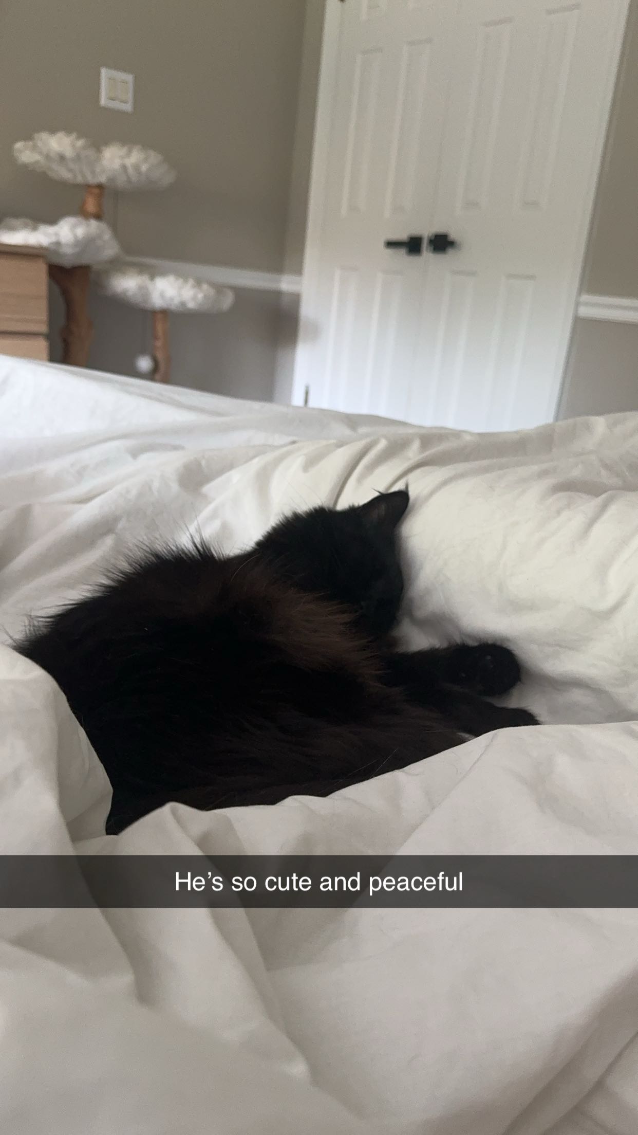 xxxtinacarmella snapchat image archive image