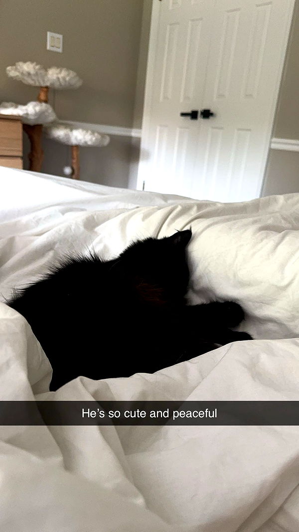 xxxtinacarmella image ~ Altpins