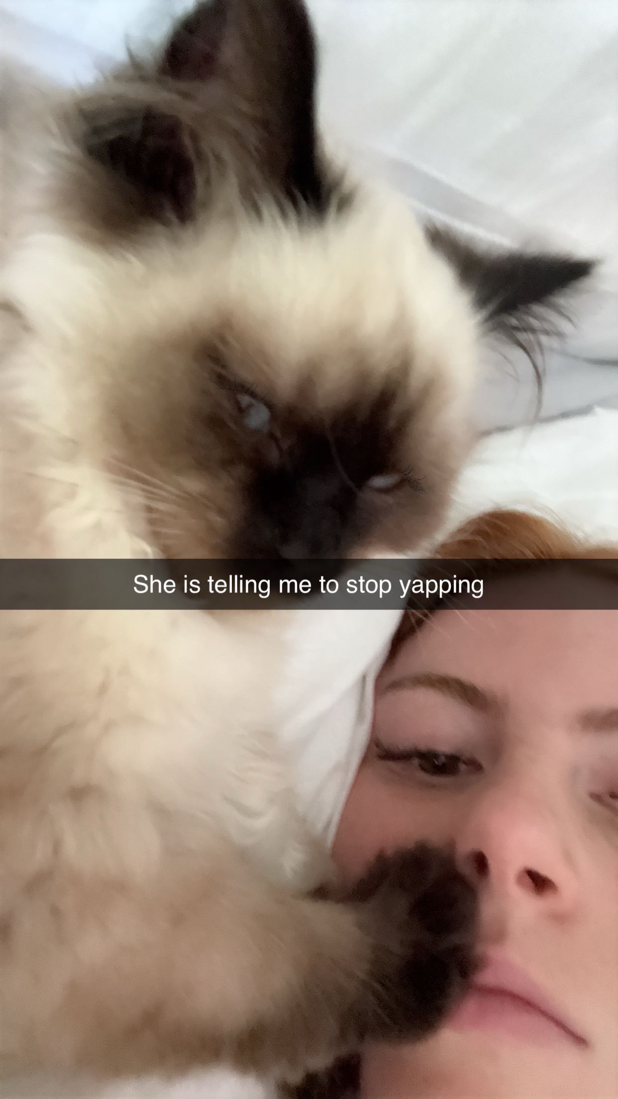 xxxtinacarmella snapchat image archive image