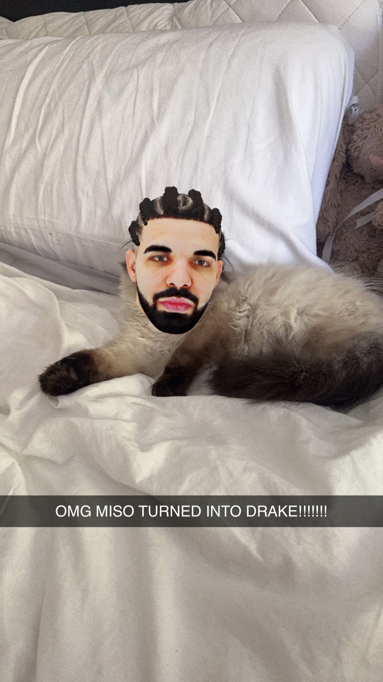 xxxtinacarmella snapchat image archive image